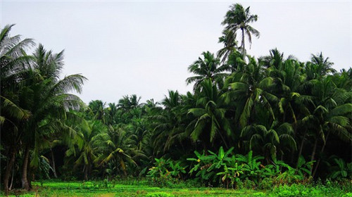 在偏关县加盟西雅图蛋糕烘焙坊什么位置客源多