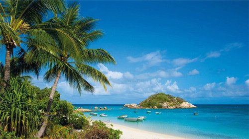 茶理镇奶茶2025年还能在阳高县加盟吗