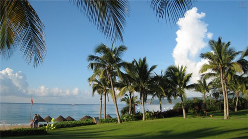 坐位体前屈脚的姿势图片（坐位体前屈的技巧图解）