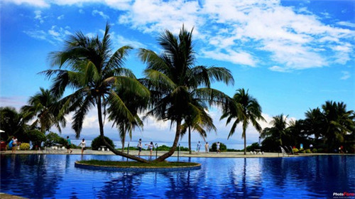 香菇牛肉炒红萝卜可以吃吗（牛肉可以和香菇红萝卜一起煮粥吗）